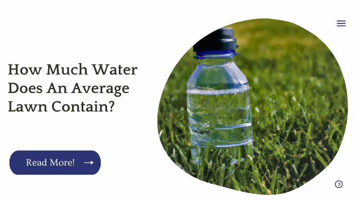 How Much Water Does An Average Lawn Contain?