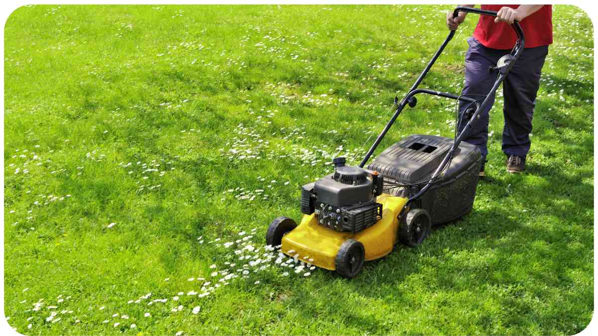 Mowing the Lawn: Heart Health, Risks, and Benefits
