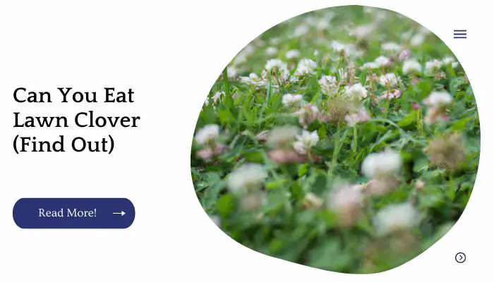 Can You Eat Lawn Clover (Find Out)