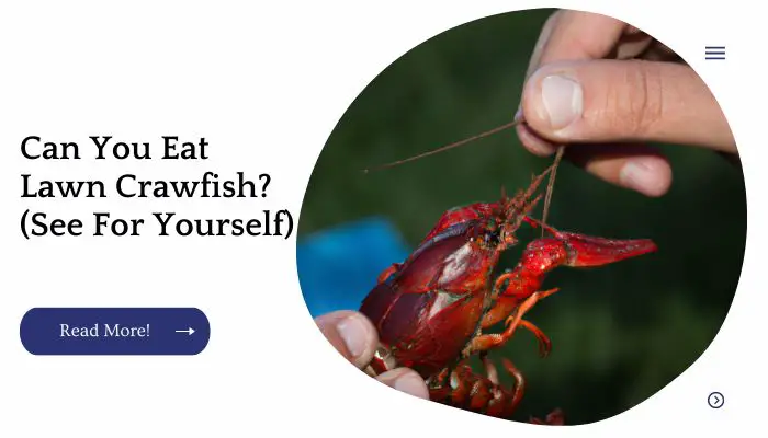 Can You Eat Lawn Crawfish?  (See For Yourself)
