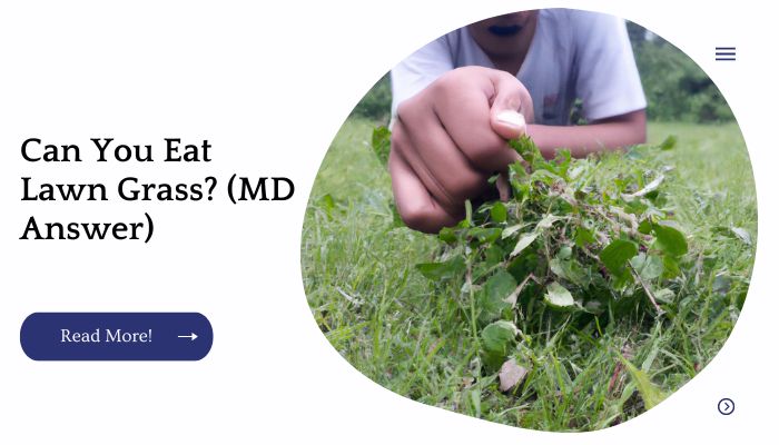 Can You Eat Lawn Grass? (MD Answer)