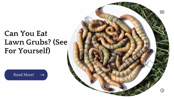 Can You Eat Lawn Grubs?  (See For Yourself)