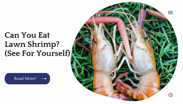Can You Eat Lawn Shrimp?  (See For Yourself)