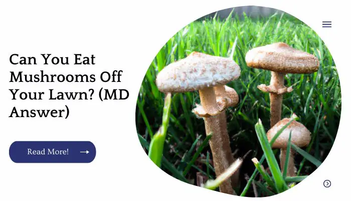 Can You Eat Mushrooms Off Your Lawn? (MD Answer)