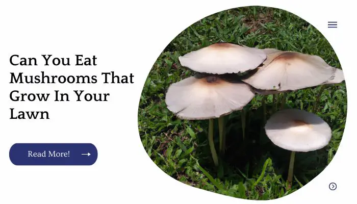 Can You Eat Mushrooms That Grow In Your Lawn