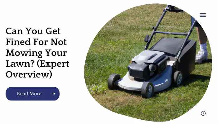 Can You Get Fined For Not Mowing Your Lawn? (Expert Overview)