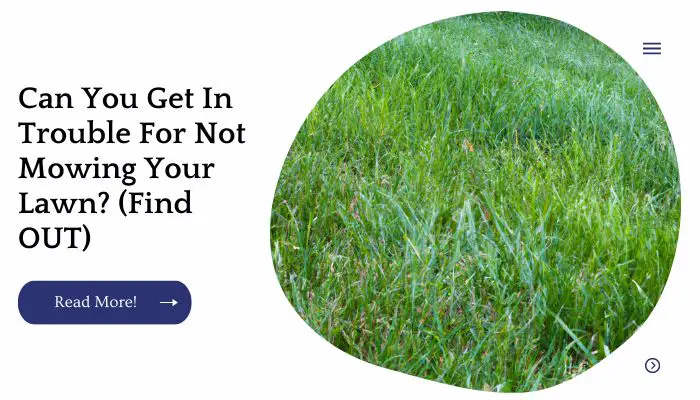 can-you-get-in-trouble-for-not-mowing-your-lawn-find-out