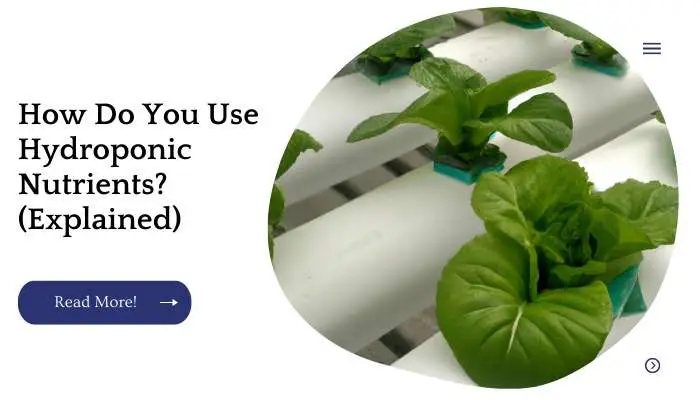 How Do You Use Hydroponic Nutrients? (Explained)