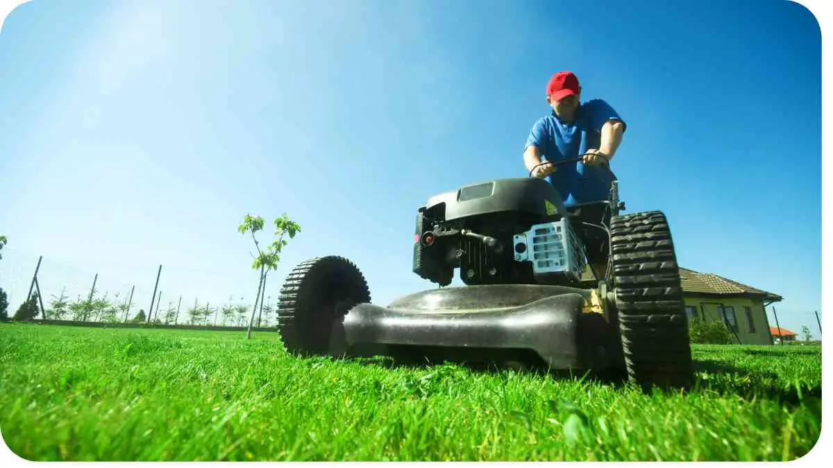 Lawn Care Health Guide: Stay Safe While Mowing