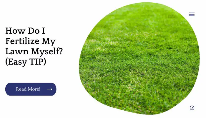 How Do I Fertilize My Lawn Myself? (Easy TIP)
