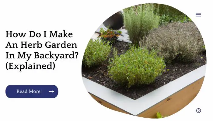 How Do I Make An Herb Garden In My Backyard? (Explained)