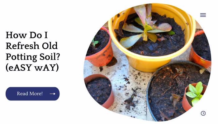 How Do I Refresh Old Potting Soil? (eASY wAY)