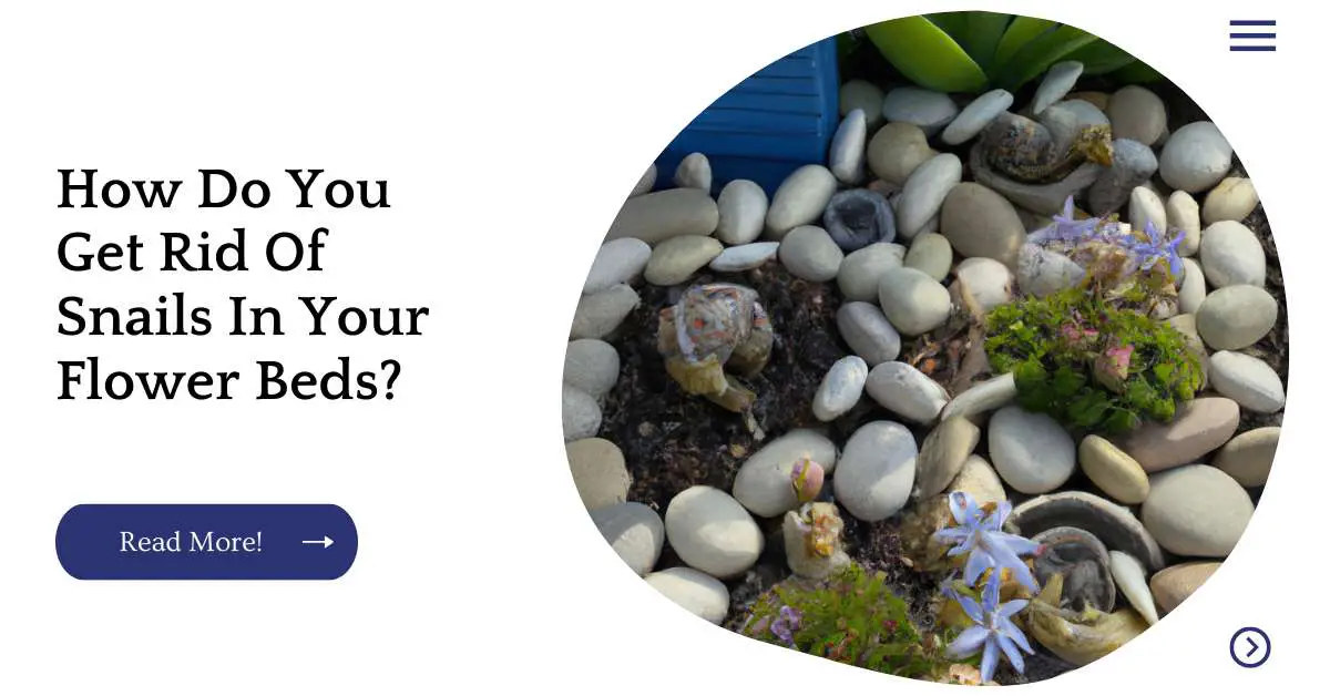 How Do You Get Rid Of Snails In Your Flower Beds?