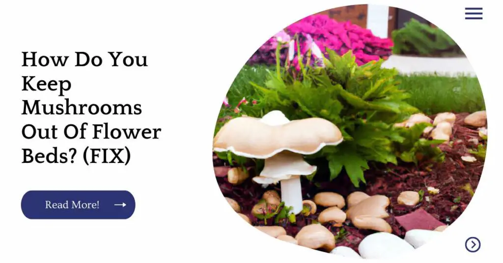 How Do You Keep Mushrooms Out Of Flower Beds? (FIX) Unified Garden