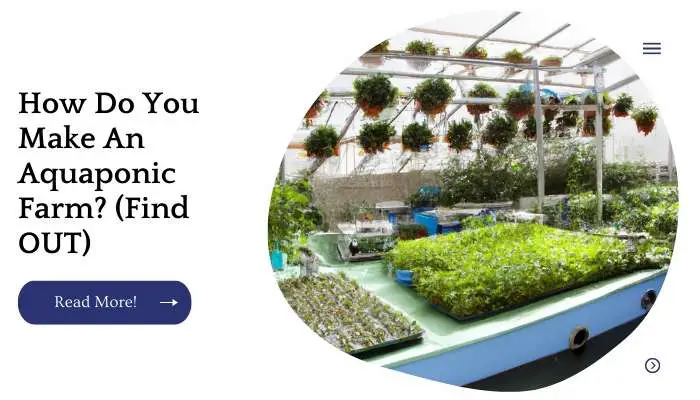 How Do You Make An Aquaponic Farm? (Find OUT)