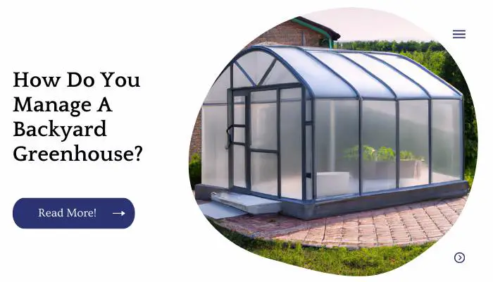 How Do You Manage A Backyard Greenhouse?