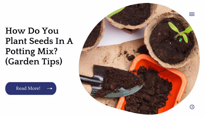 How Do You Plant Seeds In A Potting Mix? (Garden Tips)