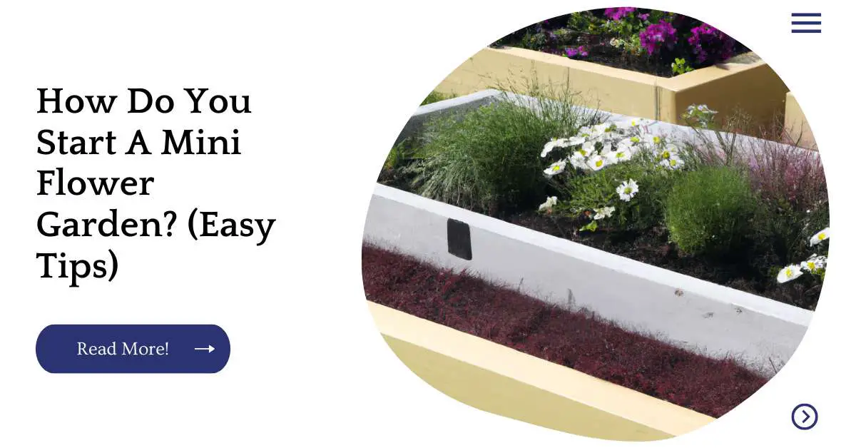 How Do You Start A Mini Flower Garden? (Easy Tips)