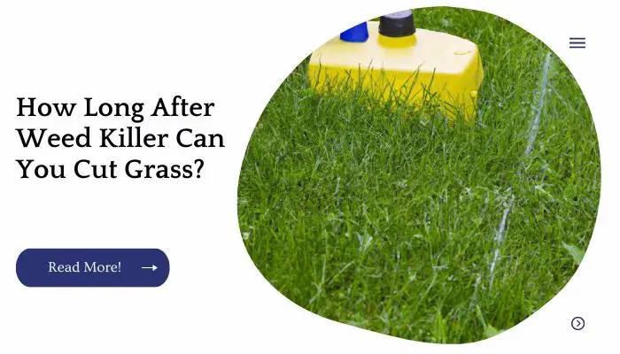How Long After Weed Killer Can You Cut Grass?