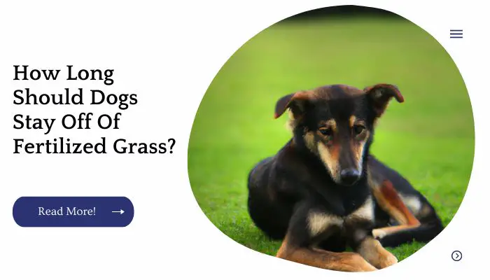 How Long Should Dogs Stay Off Of Fertilized Grass?