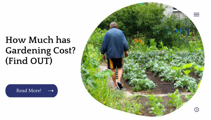 How Much has Gardening Cost? (Find OUT)