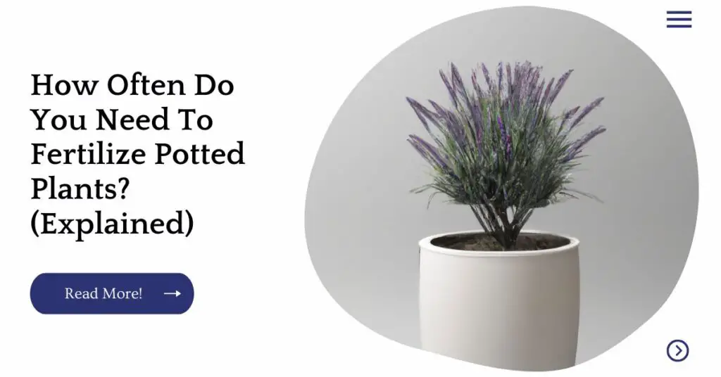 How Often Do You Need To Fertilize Potted Plants? (Explained) Unified