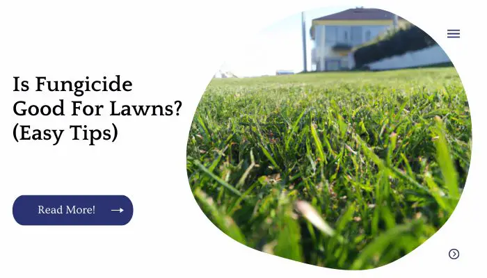 Is Fungicide Good For Lawns? (Easy Tips)