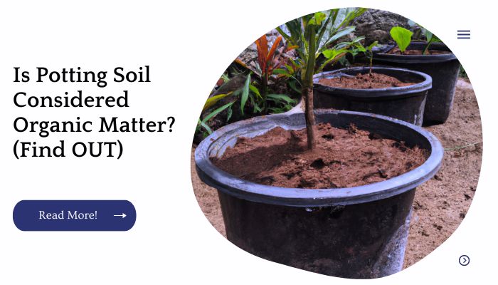 Is Potting Soil Considered Organic Matter? (Find OUT)