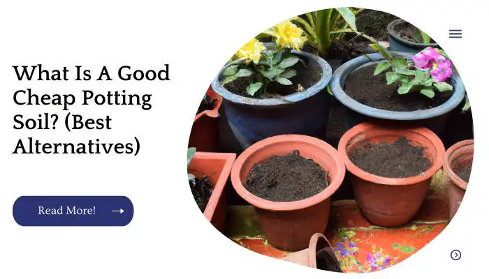 What Is A Good Cheap Potting Soil? (Best Alternatives)