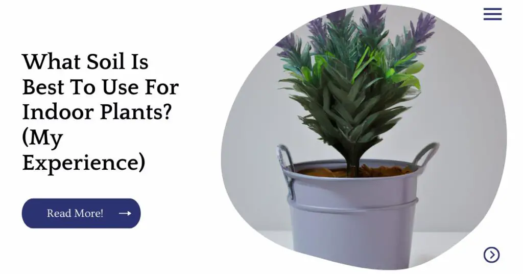 What Soil Is Best To Use For Indoor Plants? (My Experience) Unified
