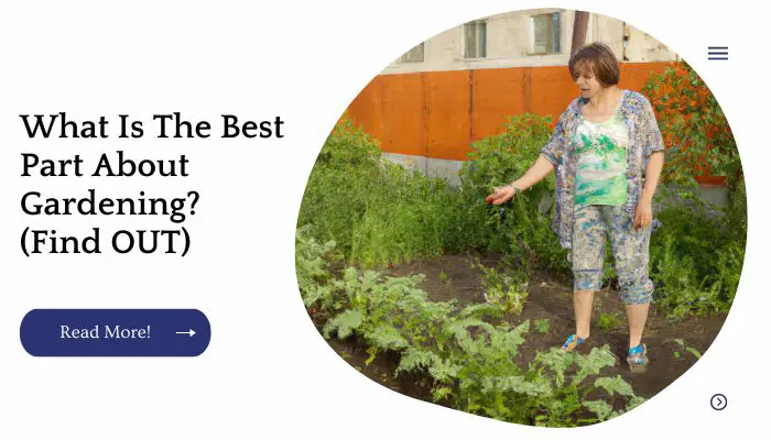 Whats The Best Part About Gardening? (Find OUT)