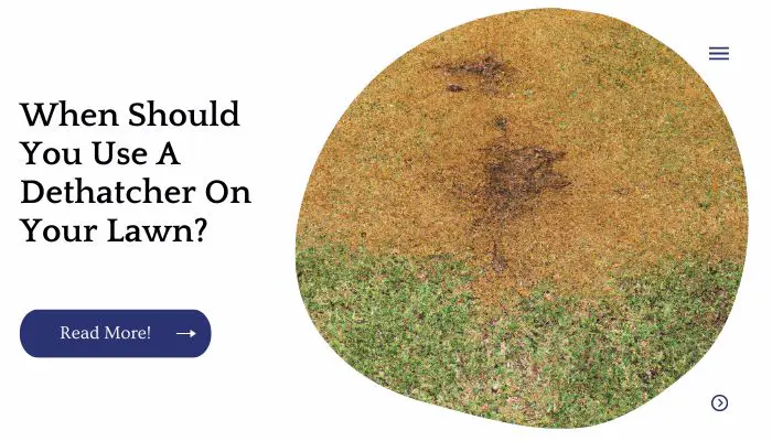 When Should You Use A Dethatcher On Your Lawn?