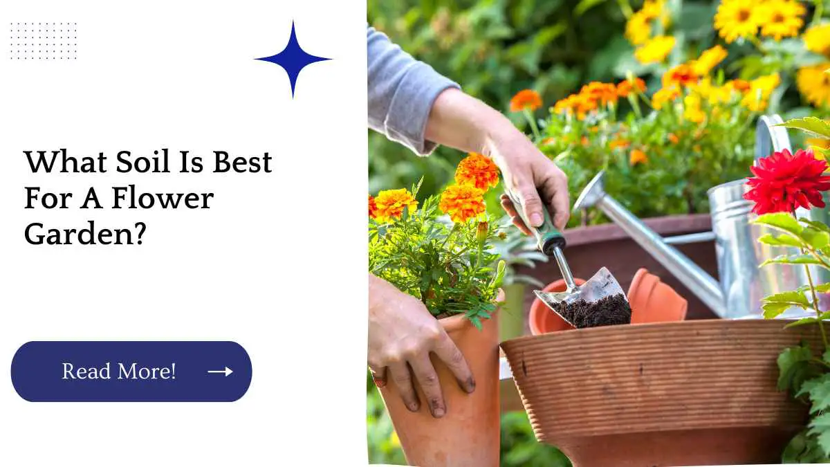 What Soil Is Best For A Flower Garden?