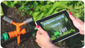 Are Smart Garden Systems Worth the Investment? Here's What You Need to Know