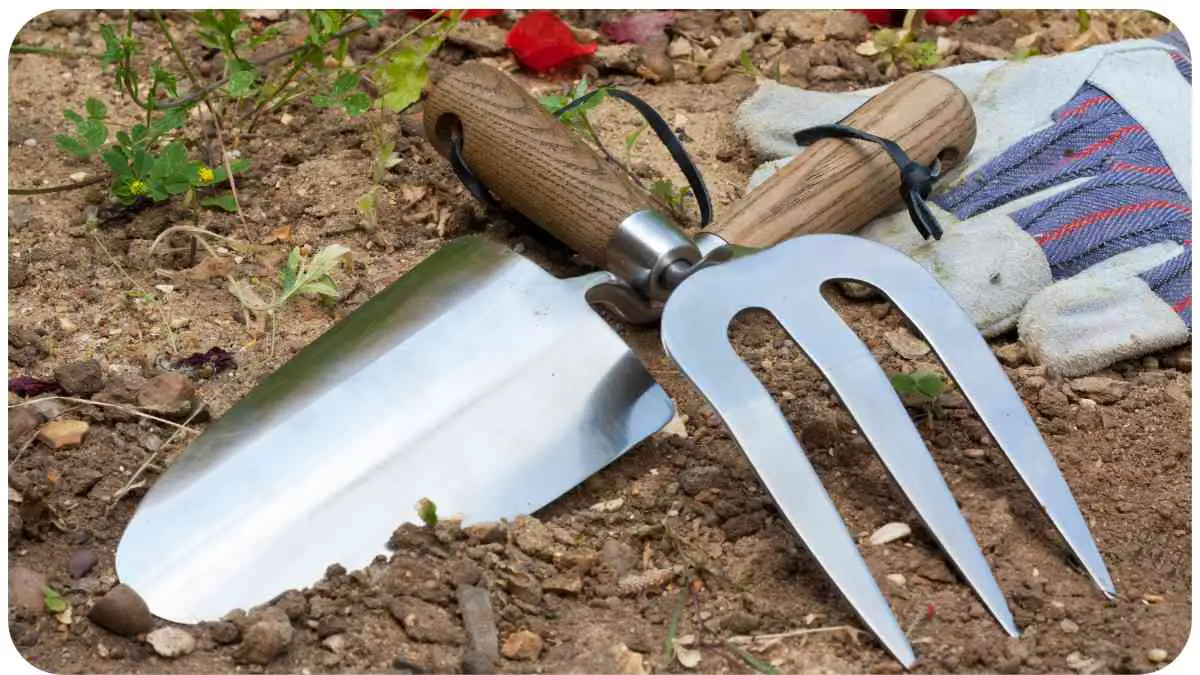 TackLife Garden Tools: How to Properly Maintain Them