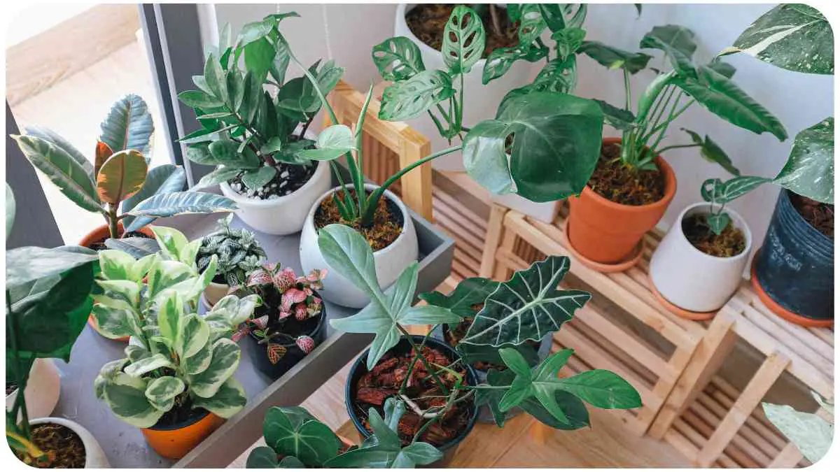 AeroGarden Tips: Maximizing Your Indoor Plant Growth