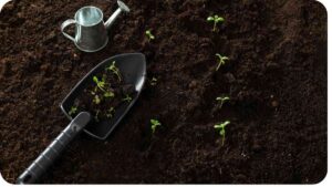 How Can Organic Gardening Methods Improve Soil Health?