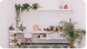 How to Create Your Own Indoor Plant Room: A Complete Guide