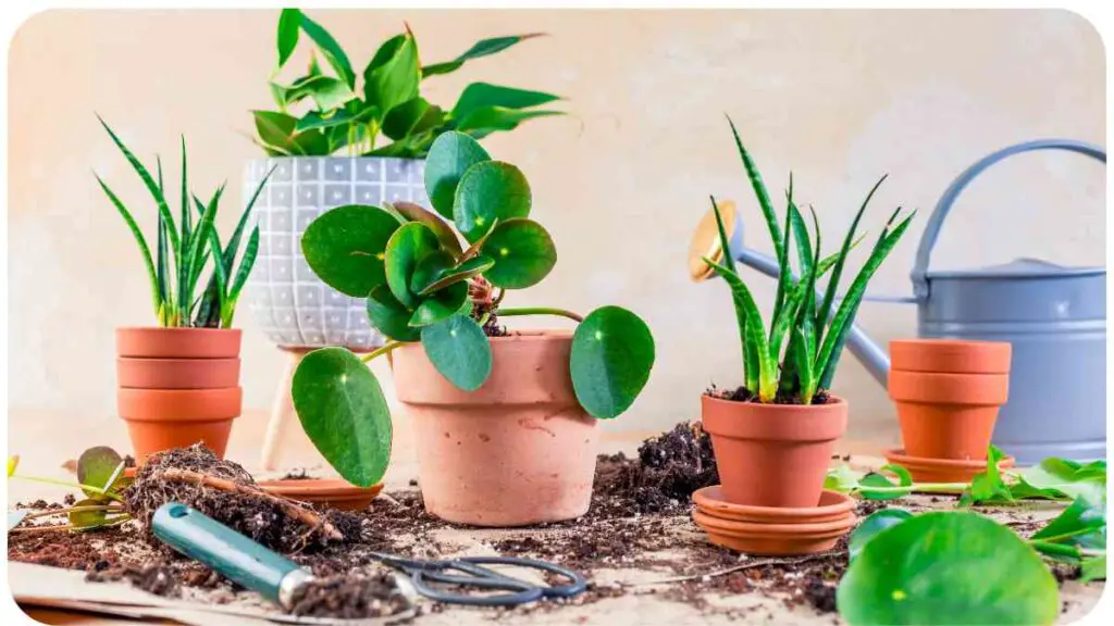 How to Get Rid of Grub Worms in Your Flower Beds Unified Garden