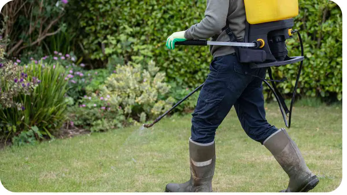 What Kind Of Weed Killer Can You Use In Flower Beds? Unified Garden