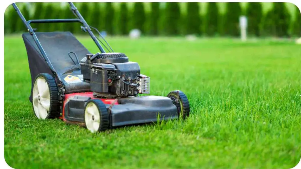 an image of a lawn mower in the grass