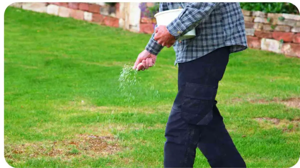 a person is watering their lawn with a hose