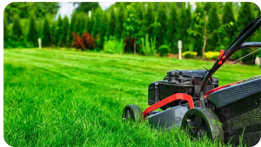 a lawn mower in the middle of a lush green field