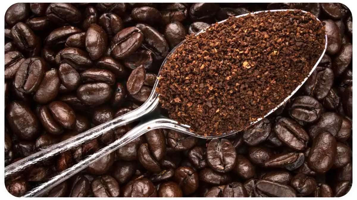 Are Coffee Grounds Good For Garden Soil? (Find OUT)
