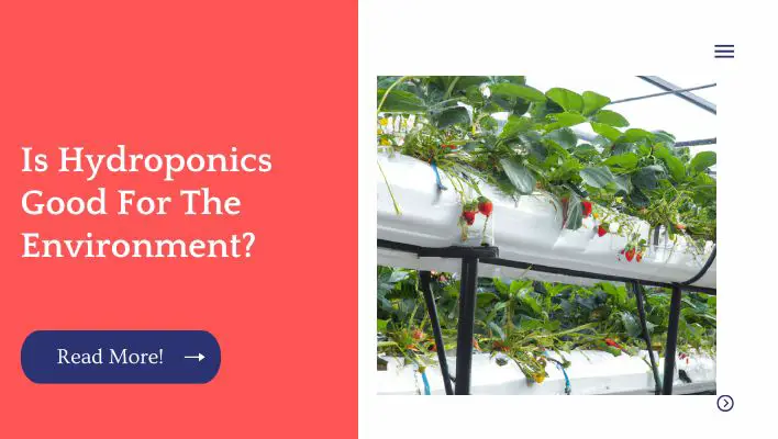 Is Hydroponics Good For The Environment?