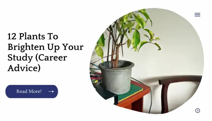 12 Plants To Brighten Up Your Study (Career Advice)