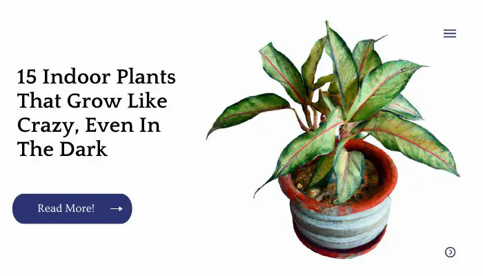 15 Indoor Plants That Grow Like Crazy, Even In The Dark