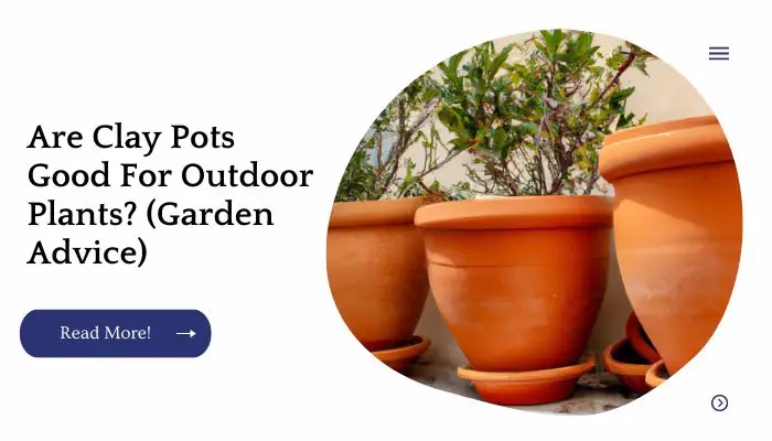 Are Clay Pots Good For Outdoor Plants? (Garden Advice)