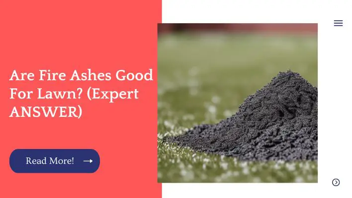 Are Fire Ashes Good For Lawn? (Expert ANSWER)