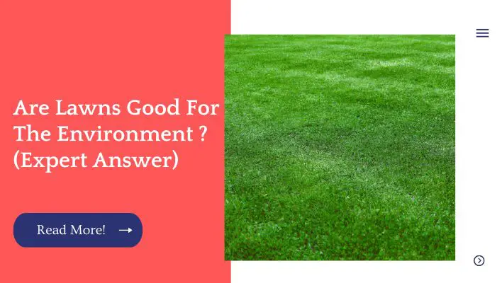 Are Lawns Good For The Environment ? (Expert Answer)